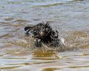 20190922-awd-0504