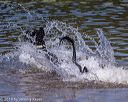 20190922-awd-0553