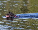 20190922-cwd-0016