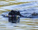 20190922-cwd-0065
