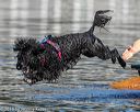 20190922-cwd-0071