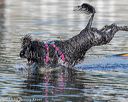 20190922-cwd-0072