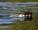20190922-cwd-0078