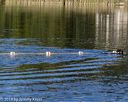 20190922-cwd-0080