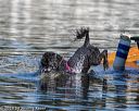 20190922-cwd-0083