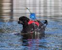 20190922-cwd-0104