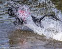 20190922-jwd-0051