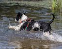 20190922-jwd-0142
