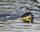 20190922-jwd-0152