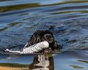 20190922-wwd-0005