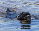 20190922-wwd-0007
