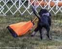 20190922-wwd-0012