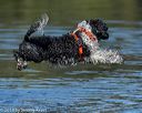 20190922-wwd-0028