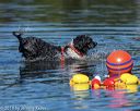 20190922-wwd-0045