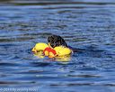 20190922-wwd-0053