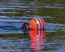 20190922-wwd-0058