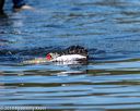 20190922-wwd-0067