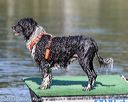 20190922-wwd-0074