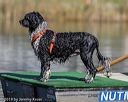20190922-wwd-0075
