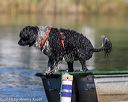 20190922-wwd-0076