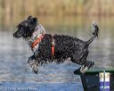 20190922-wwd-0078