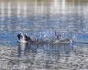 20190922-wwd-0082