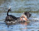 20190922-wwd-0093