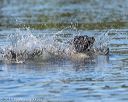 20190922-wwd-0094