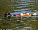 20190922-wwd-0097