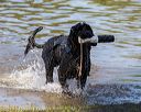 20190922-wwd-0123