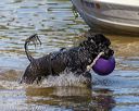 20190922-wwd-0131