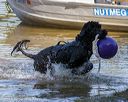 20190922-wwd-0135