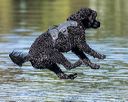 20190922-wwd-0155