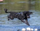 20190922-wwd-0166