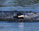 20190922-wwd-0171