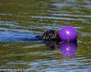 20190922-wwd-0180