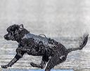 20190922-wwd-0193