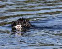 20190922-wwd-0197