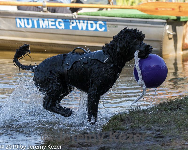 20190922-wwd-0137.jpg