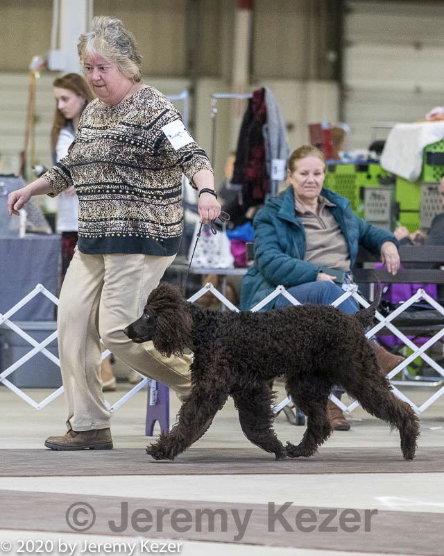 20200222-0185.jpg