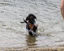 20210821-awd-0205