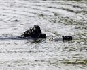 20210821-cwd-0905