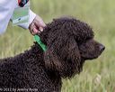 20220613-wcl-0280