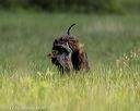 20220613-wcl-0517