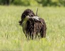 20220613-wcl-0764