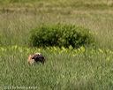 20220613-wcxw-0036