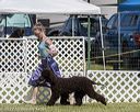 20220615-sw-0315