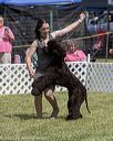 20220615-sw-0342