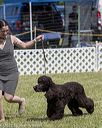 20220615-sw-0344