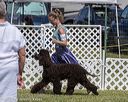 20220615-sw-0359